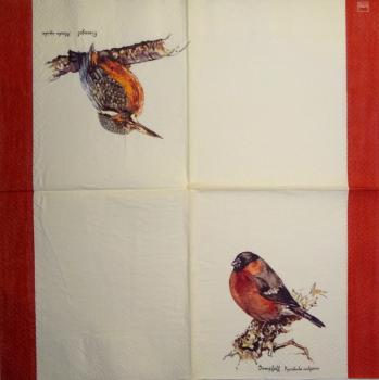 166 Vögel - 3-ply (red) (big Edge) - Home Fashion